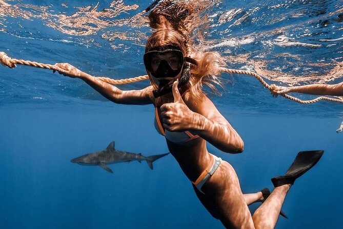 Open Water Shark Dive - Traveler Reviews and Ratings