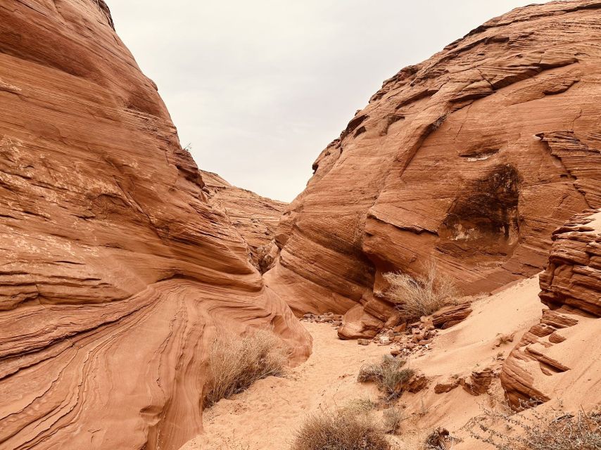 Page: Mountain Sheep Slot Canyon Guided Hiking Tour - Tour Highlights