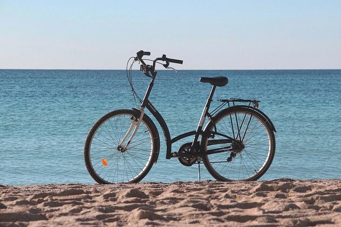 Palma De Mallorca Easy Bike Tour - Traveler Reviews