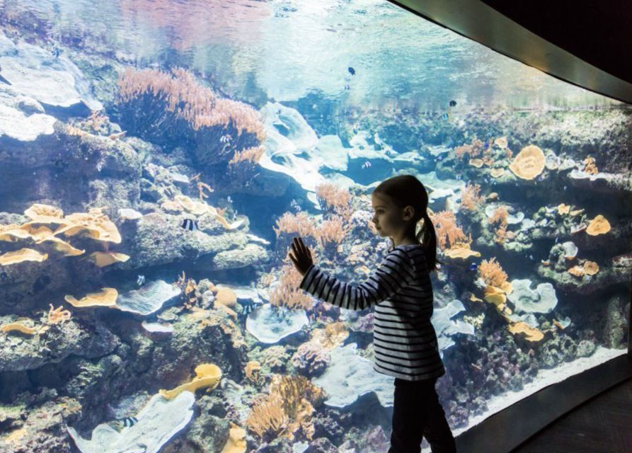 Paris: Aquarium Entry Ticket & Self-Guided Eiffel Tower Tour - Inclusions and Exclusions