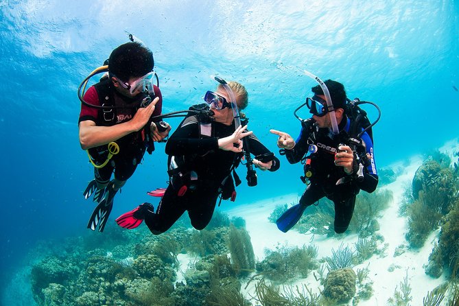 Playa Del Carmen: PADI Discover Scuba Diving With Instructor - Explore Vibrant Coral Reefs