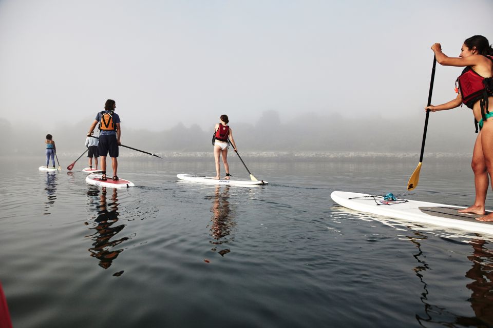 Portland, ME: Guided Harbor Paddleboard Tour - Tour Highlights