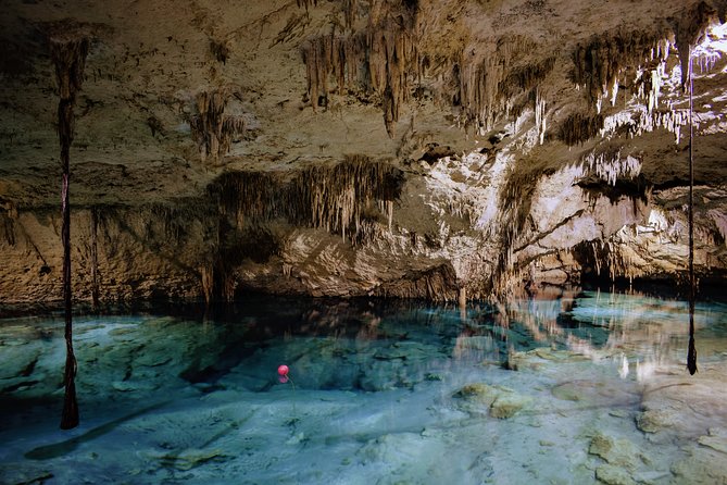 Private Cenote & Snorkeling Tour With Turtles in Akumal - Media and Additional Information