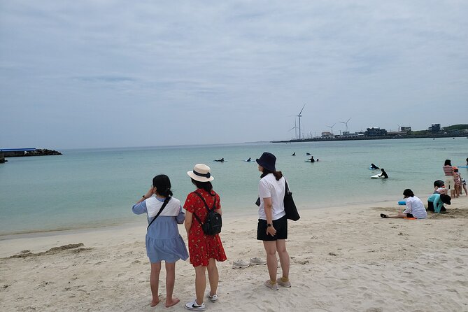 Private Day Tour East & South & West of Place in Jeju Island - Choosing Your Course Adventure