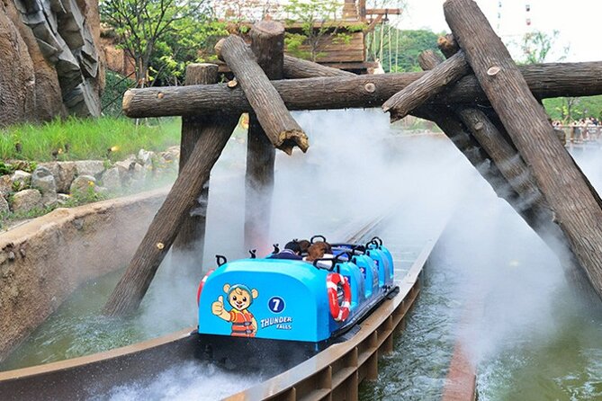 Private Everland Theme Park Tour - Customizable Private Tour Options