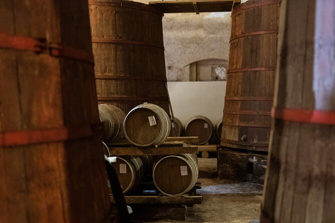 Private Food and Wine Tour in the Cellar With Tastings - Culinary Delights