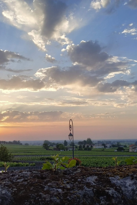 Private Saint-Emilion At Sunset: Highlights City Tour - Highlights of the City Tour