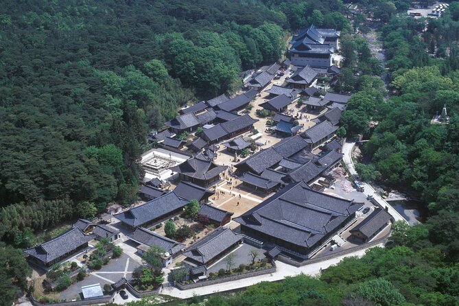Private Tongdosa Temple Tour Including Gourmet Eonyang Style Bulgogi Lunch - Accessibility and Special Needs