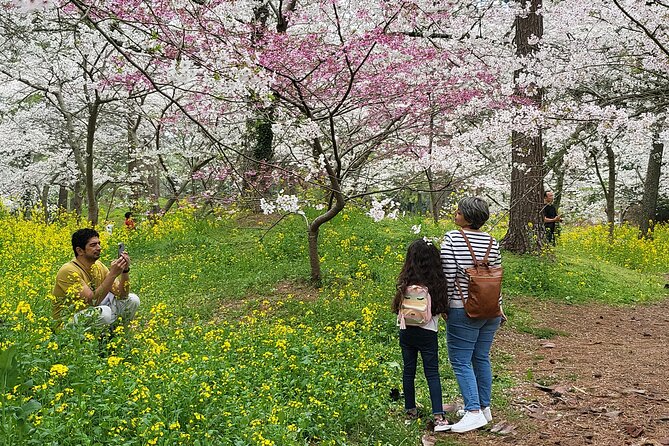 Private Tour in Ossulloc Tea Fam and Hanrim Park in Jeju Island - Important Tour Information and Notes