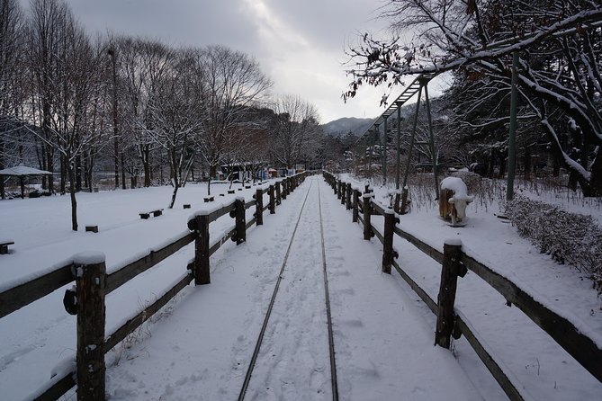Private Tour Rail Bike & Nami Island & (Petite France or Garden of Morning Calm) - Petite France or Garden of Morning Calm