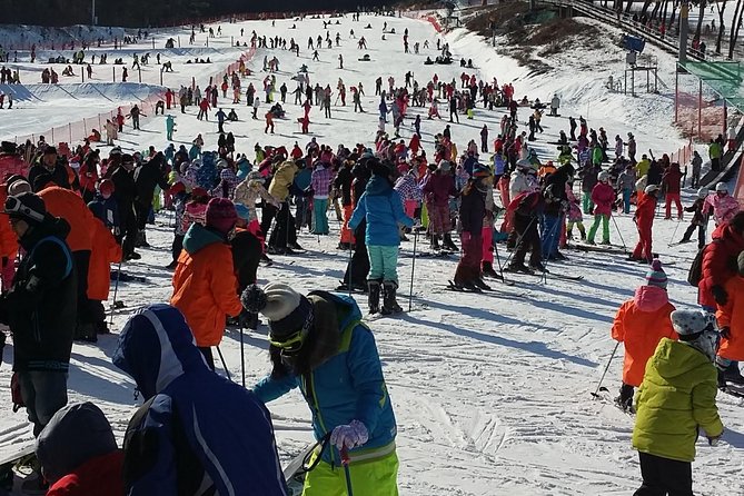 Private Trip to Nami Island and Ski Resort - Cancellation and Refund Policy