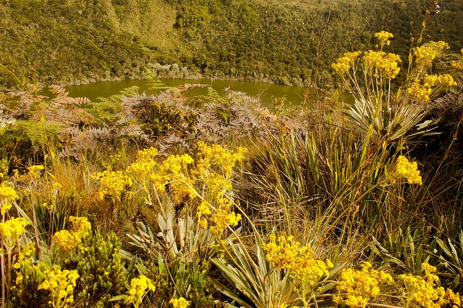 Private Zipaquira Salt Cathedral and Guatavita Lagoon Tour From Bogota - Attractions and Visitor Experience