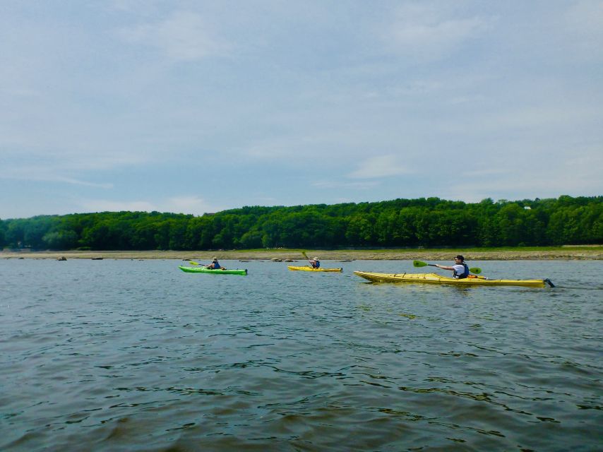 Quebec City: Sea-Kayaking Tour in Orleans Island - Restrictions