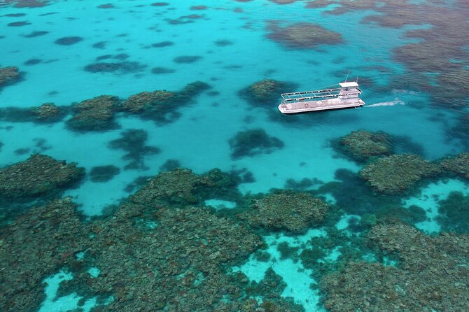 Quicksilver Great Barrier Reef Snorkel Cruise From Port Douglas - Marine Life and Coral Formations
