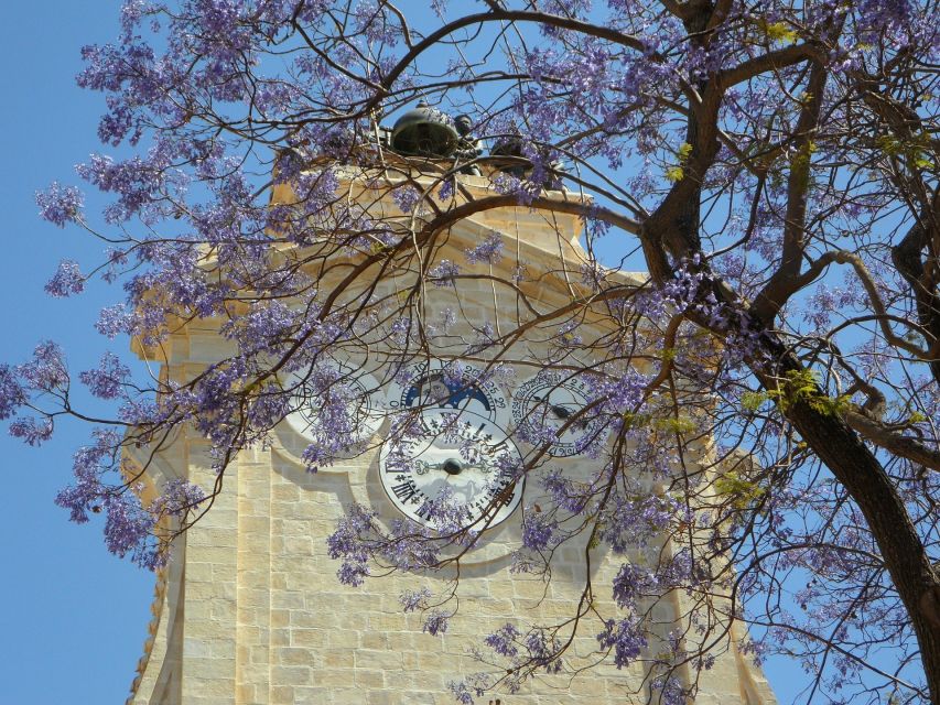 Rhodes: Old Town Private Walking Tour With an Expert Guide - Tour Provider