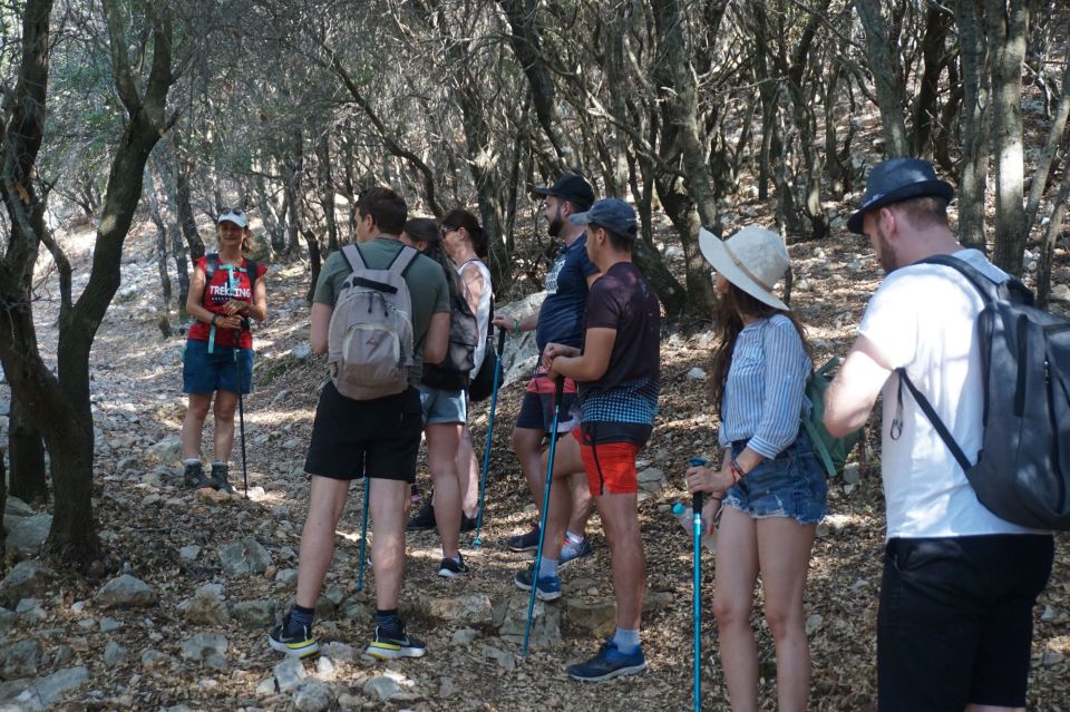 Rhodes: Profitis Ilias Guided Sunset Hike - Itinerary