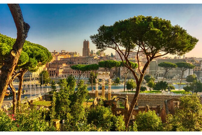 Rome Full Day Sightseeing With Private Driver - Customer Reviews and Ratings