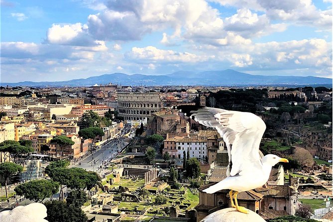Rome Top Sites in 1 Day WOW Tour: Luxury Car, Tickets & Lunch - Luxury Car Experience