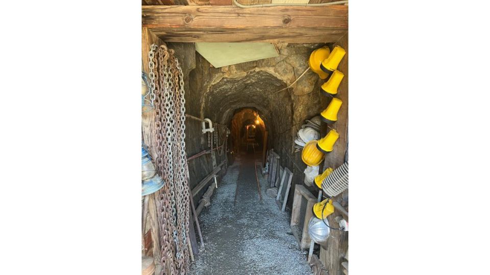 San Diego: Julian Gold Mine and Pie Tour - Tour Description