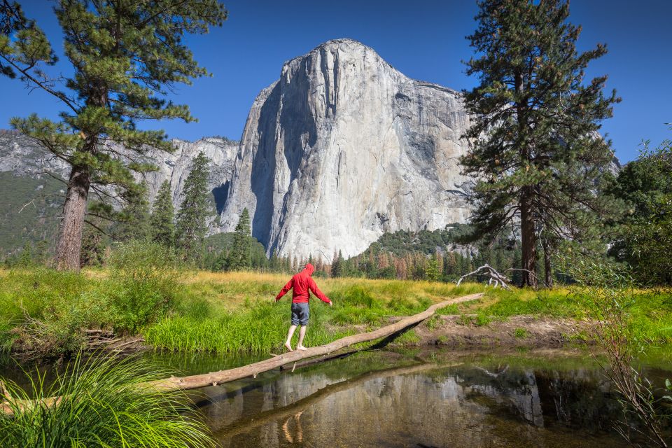 San Francisco To/From Yosemite National Park: 1-Way Transfer - Important Information for Travel