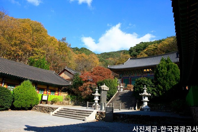 Scenic Jiri Mountain Autumn Foliage One Day Tour - Travel Logistics and Essentials