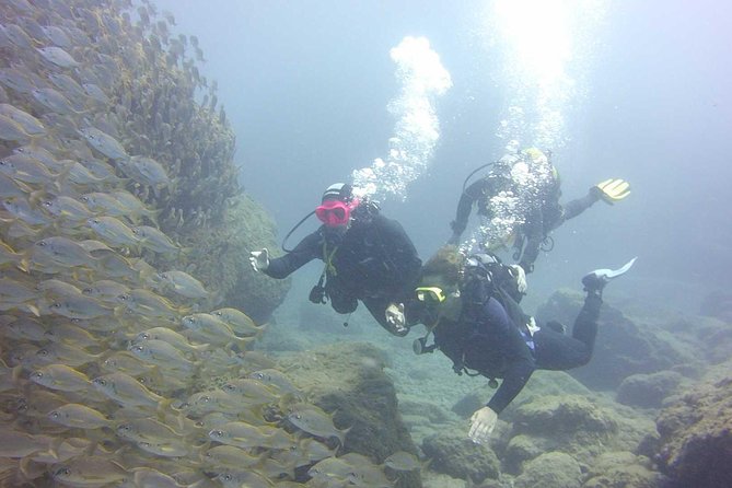 Scuba Diving Beginners Session in Costa Adeje - Experience Highlights