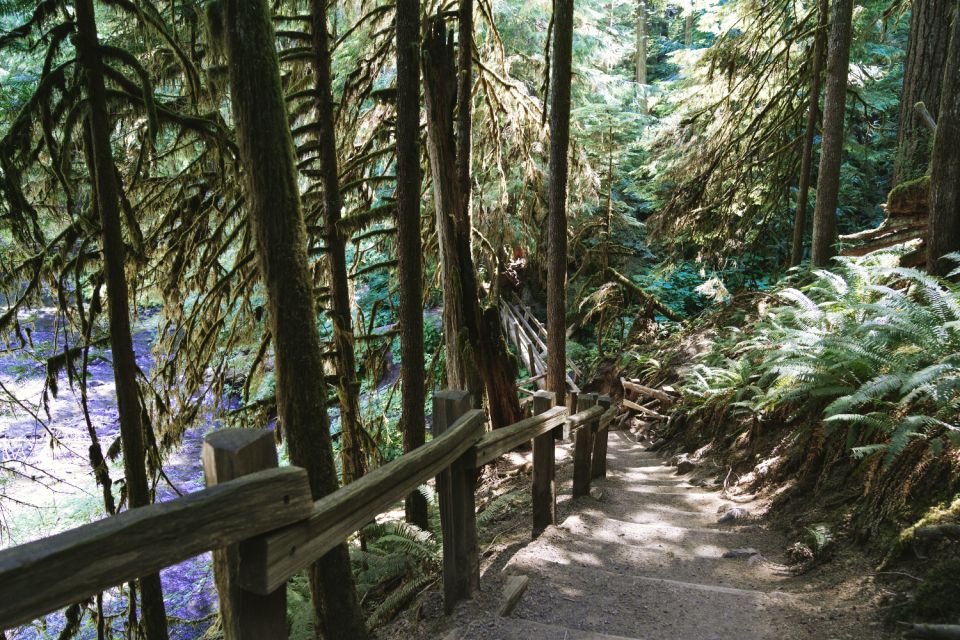 Seattle And Olympic NP Self-Guided Audio Bundle Tour - Tour Description