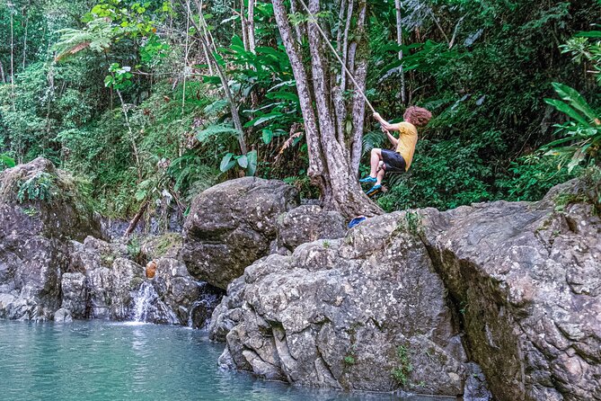 Semi Private El Yunque Tour -Transp. Inc. - Participant Restrictions and Requirements