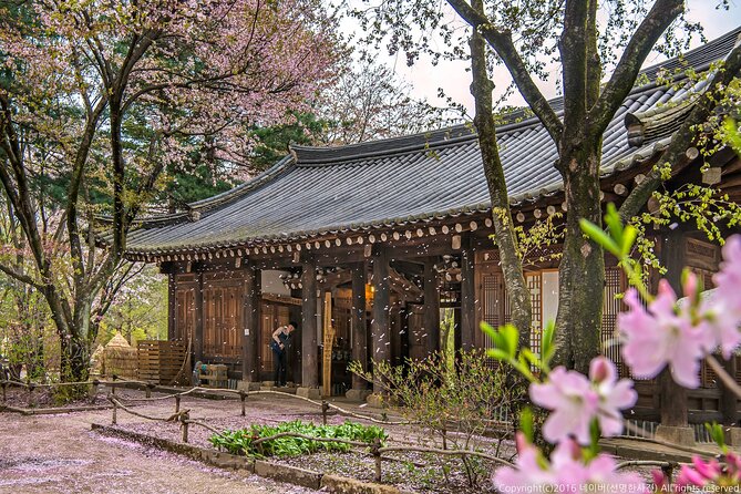 Seoul to Nami Island Round Trip Shuttle Bus Service - Important Notes and Reminders