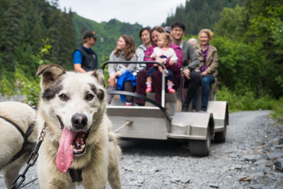 Seward: Summer Dog Sled Ride and Seavey Estate Tour - Pickup and Accessibility Details