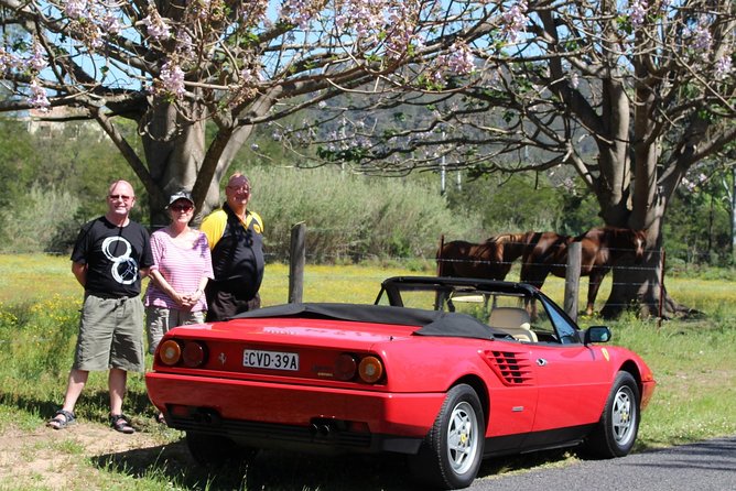Six-Bridges-of-Sydney-Vintage-Car-Ride-Experience - Tour Features and Inclusions