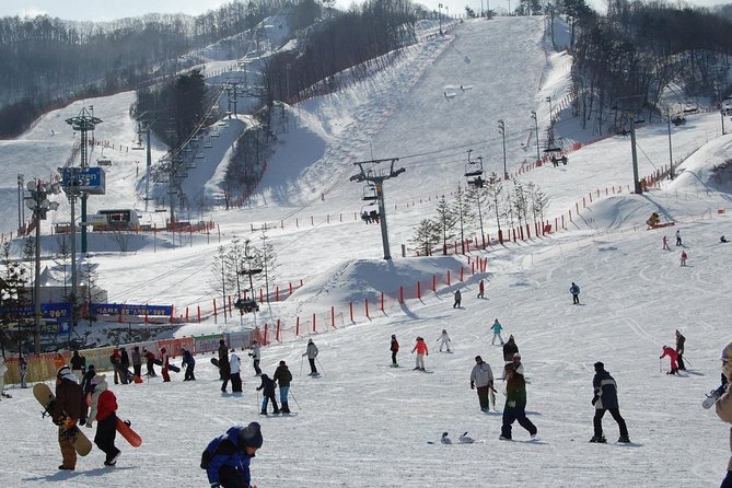 Ski Tour to Jisan Ski Resort From Seoul - Whats Included in the Tour
