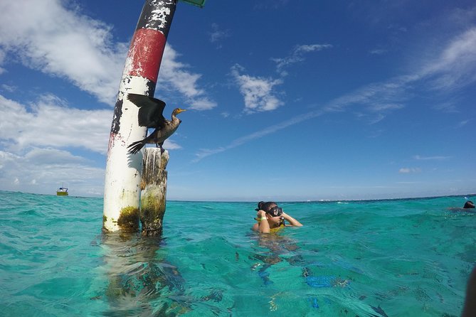 Snorkel and Parasail Cancun - Inclusions and Equipment Provided