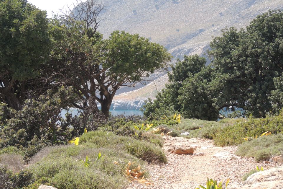 South Eastern Crete & Sarakinas Gorge Day Tour - Customer Reviews
