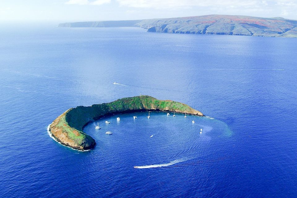 South Maui: Molokini and Turtle Town Snorkeling Tour - Full Description