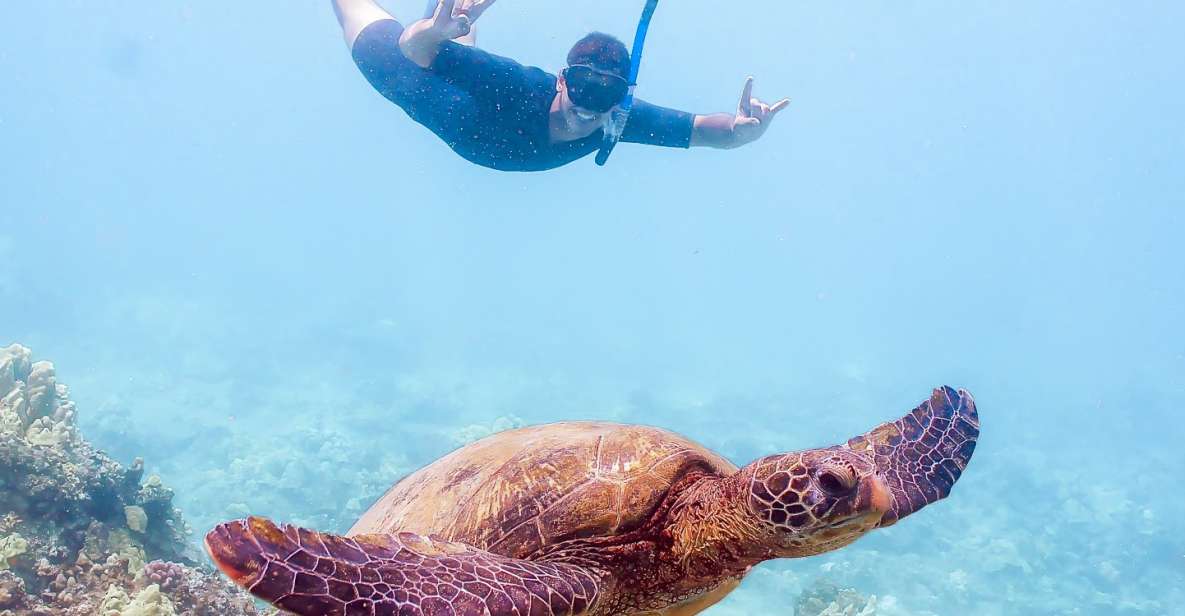 South Maui: Molokini Snorkeling Adventure - Full Adventure Description