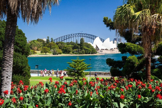 Sydney Shore Excursion | Luxury Private 6 Hr Tour | Departs From Cruise Terminal - Morning Tea and Snack Delights