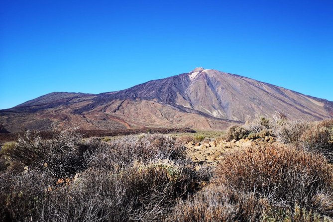 Teide National Park for Smaller Groups - Group Size and Activities