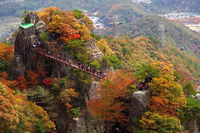 The Beauty of the Korea Fall Foliage Discover 11days 10nights - Logistics and Accessibility