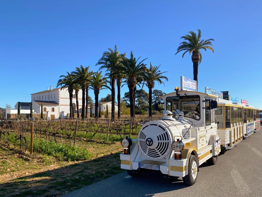 The Little Train of La Londe-les-Maures - What to Expect on Board