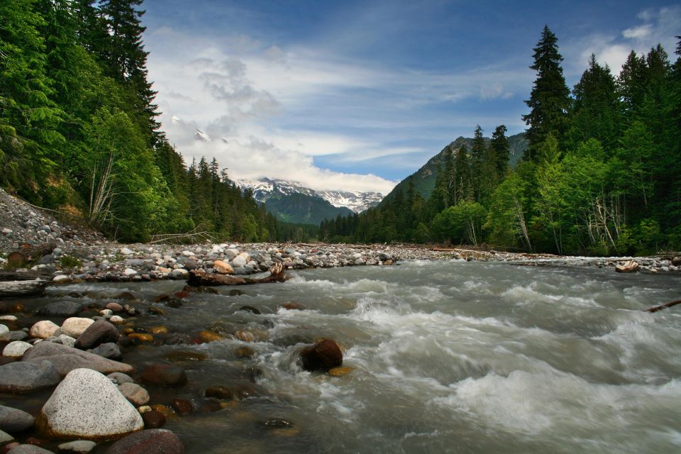 The Mount Rainier Majestic Trails Self-Guided Audio Tour - Included Features