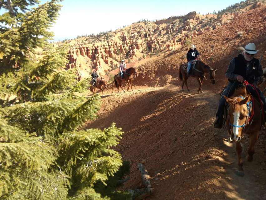 Thunder Mountain Trail: Scenic Horseback Ride - Inclusions and Restrictions