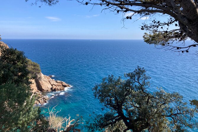 Tossa De Mar and Boat Along the Costa Brava From Barcelona - Reviews