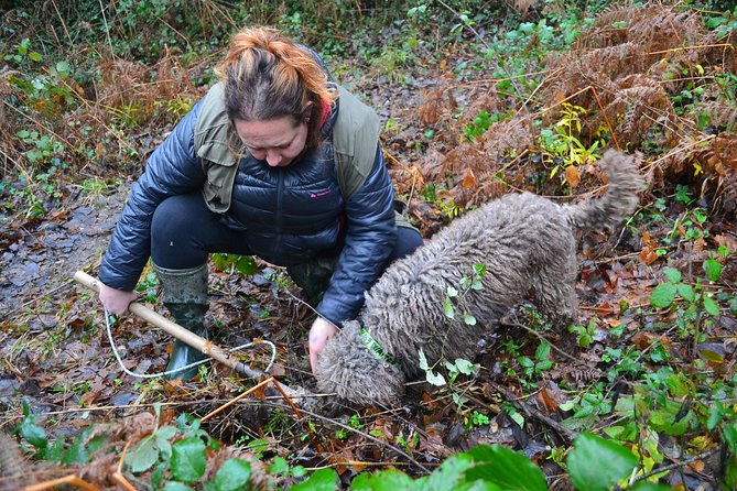 Truffle Hunting Experience With Lunch in San Miniato - Cancellation Policy Details