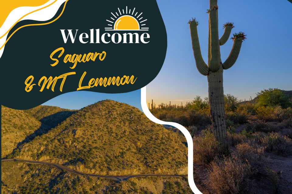 Tucson: Mt Lemmon & Saguaro NP Self-Guided Bundle Tour - Tour Inclusions