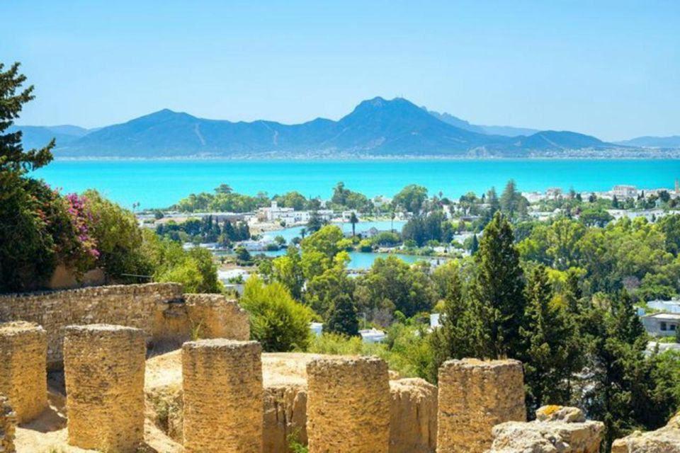 Tunis: Private Full-Day Tunis Highlights Tour - Customer Reviews