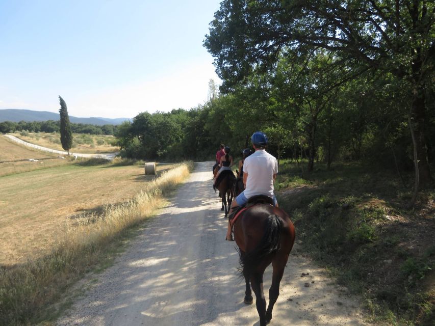 Tuscany: Horseback Riding Adventure With Lunch in a Winery - Restrictions