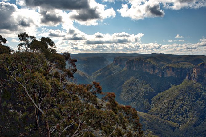 Unforgettable Blue Mountains Day Tour - Lunchtime in Leura
