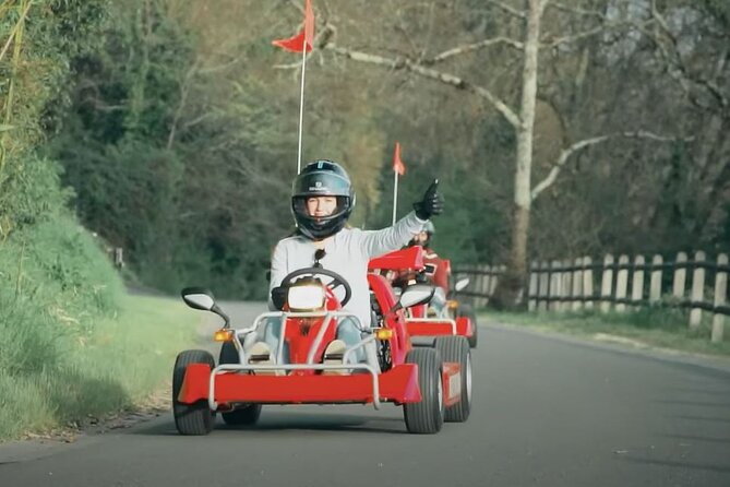 Unique in France: Driving Karts on the Road in Gironde - Exclusive Private Tour Details