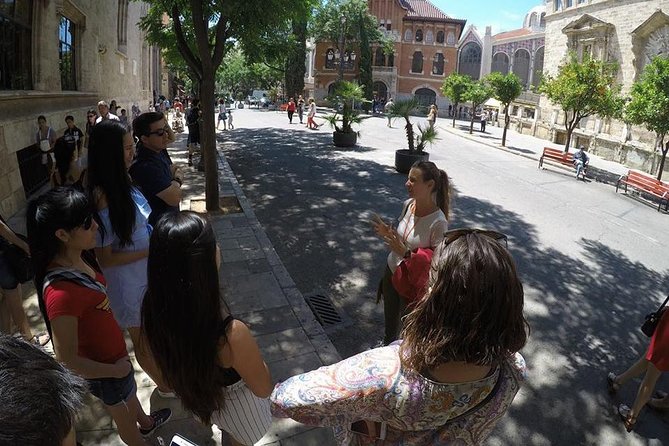 Valencia Private Walking Tour With Official Valencian Guide - Inclusions and Amenities